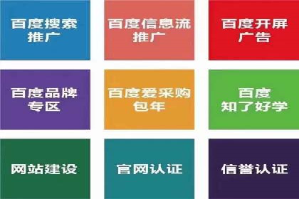 SEM运营公司案例解析：精准广告投放技巧